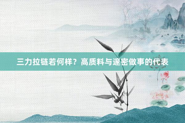 三力拉链若何样？高质料与邃密做事的代表