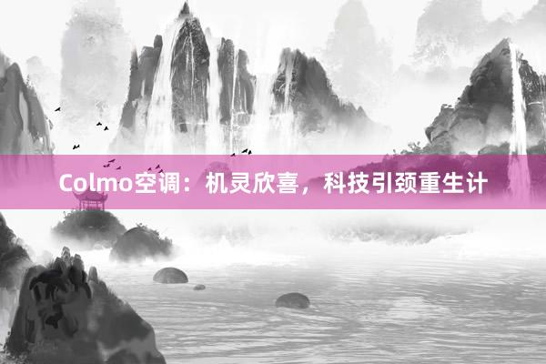 Colmo空调：机灵欣喜，科技引颈重生计