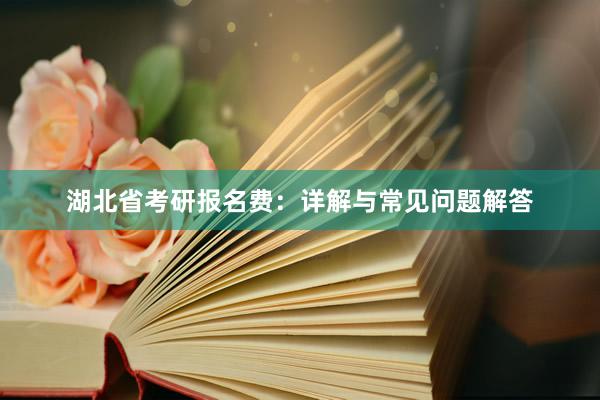 湖北省考研报名费：详解与常见问题解答
