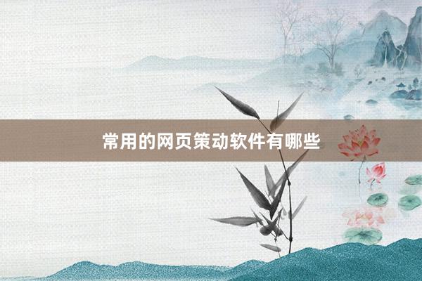 常用的网页策动软件有哪些