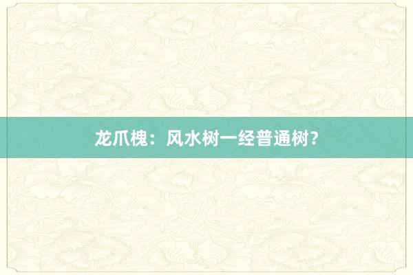 龙爪槐：风水树一经普通树？