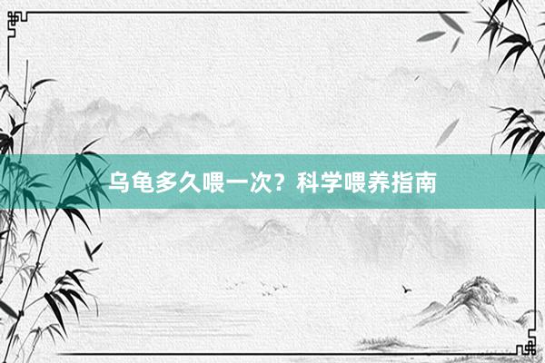 乌龟多久喂一次？科学喂养指南